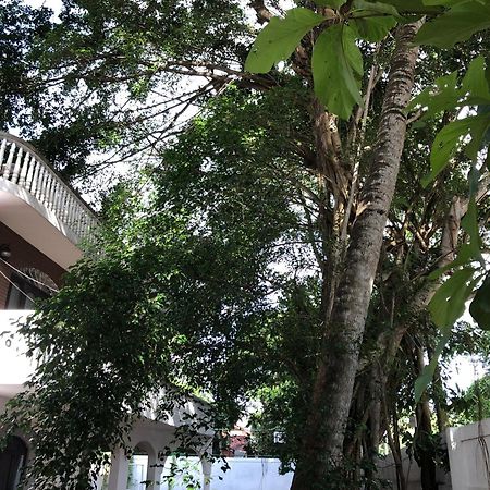 Murphy'S Villa Katunayaka Exterior foto