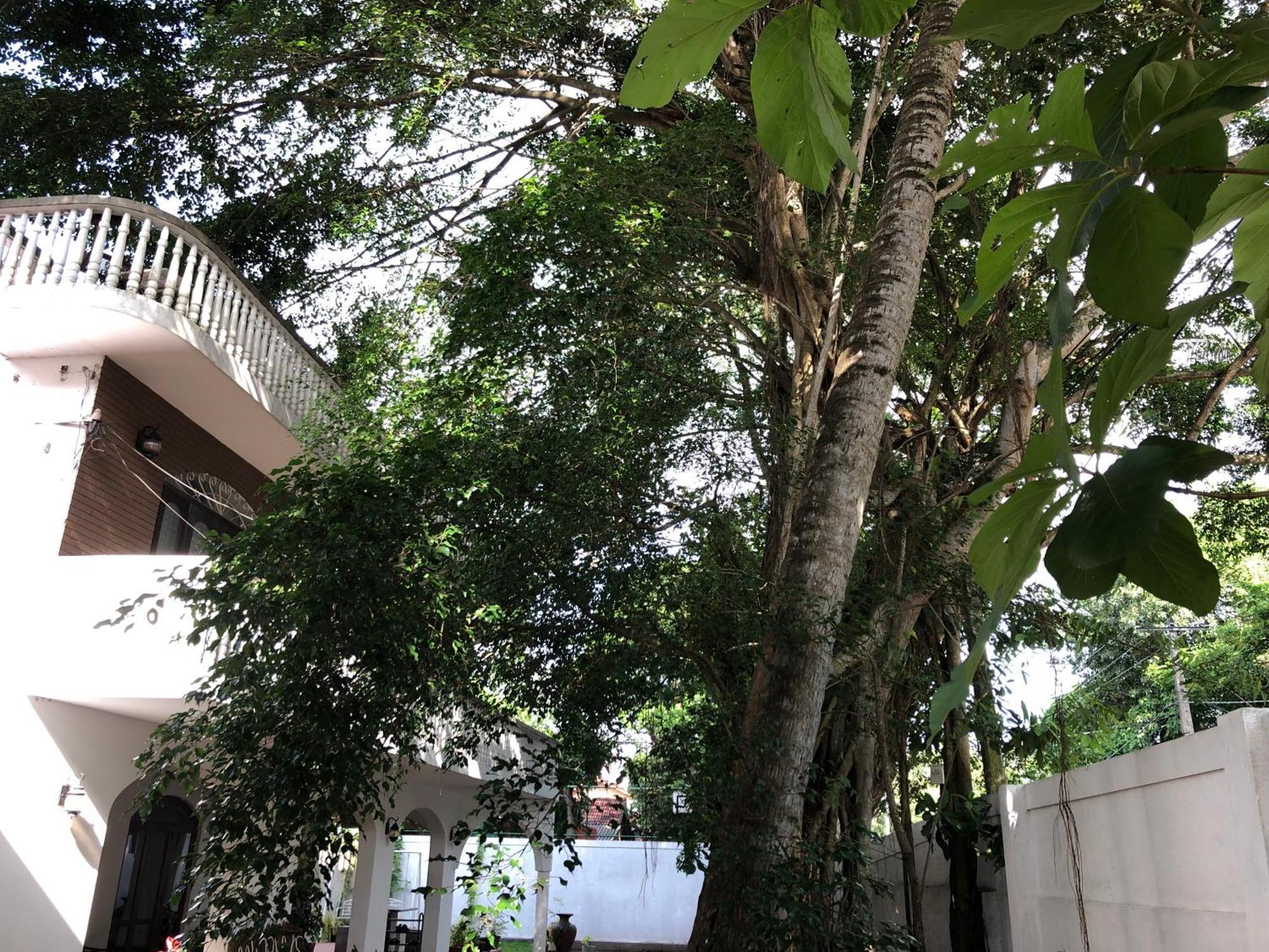 Murphy'S Villa Katunayaka Exterior foto