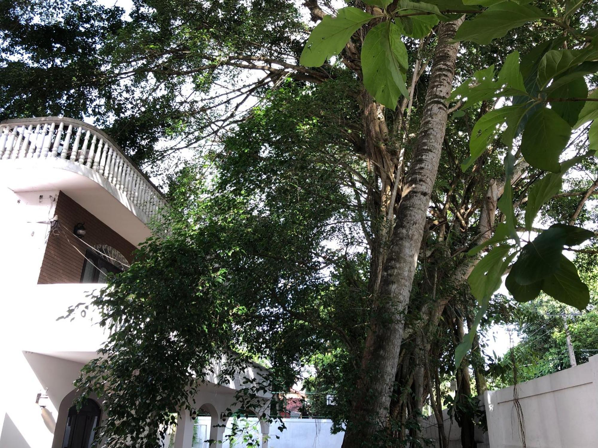 Murphy'S Villa Katunayaka Exterior foto